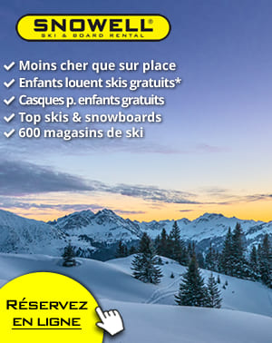 Offres de SNOWELL